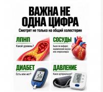 Ст03.jpg