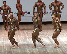 START_PAL8eb93d5a1c93c40.jpg
