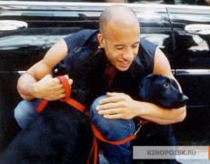 kinopoisk.ru_Vin_Diesel_30777.jpg