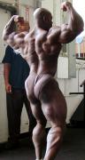 Flex_Wheeler_383.jpg
