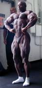 Flex_Wheeler_602.jpg