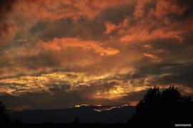 DSC_1675.jpg