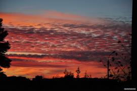 DSC_1574.jpg