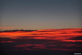 DSC_3599.jpg