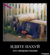 x_382180f1.jpg