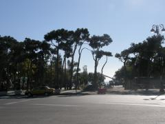 PB072040.JPG