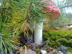 19092010090.jpg