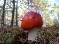 19092010087.jpg
