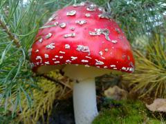 19092010091.jpg