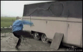 Karate_Rooster_Chase.gif