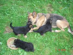 DSC03909.JPG