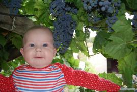 DSC00874.JPG