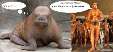 невский_курицын.JPG