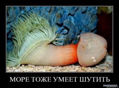 хахаха.jpg