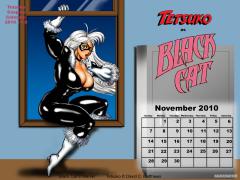 tcc_november_2010___b_by_dcmatthews_d31n3bg.jpg