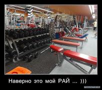 x_959e6120.jpg
