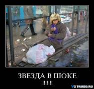zver.jpg
