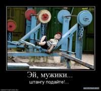 1266502464_8.jpg