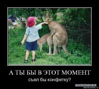 s3img_28884756_14909_0.jpg