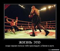 1267872258_872536_zhizn_eto.jpg