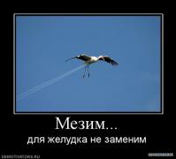 1256122331_703600_mezim.jpg
