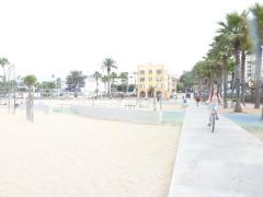 P1010947_изменить размер.JPG