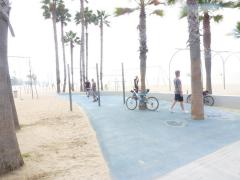 P1010946_изменить размер.JPG