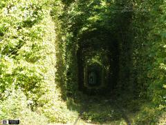 20110926_339003.jpg