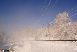 20091108_229231.jpg