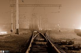 20110912_336881.jpg