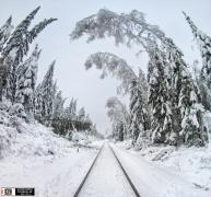 20111114_345890.jpg