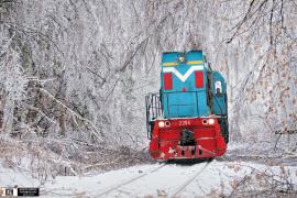 20110213_303032.jpg
