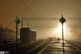 20101117_290405.jpg