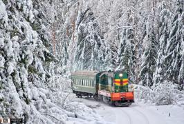 20110131_301340.jpg
