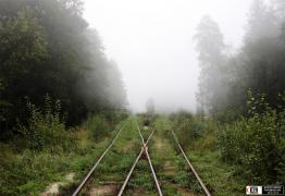 20111114_345926.jpg