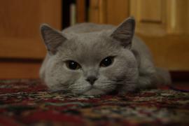 DSC03944.JPG
