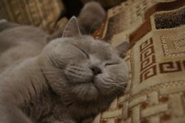 DSC03971.JPG