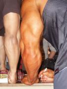 cutler_81_20101229_1025597945.jpg