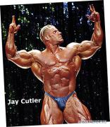 cutler_28_20101229_1062082578.jpg