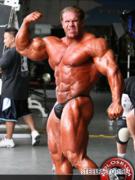 Jay_Cutler.jpg