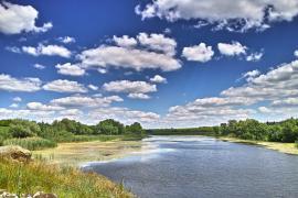 4904594_60d028b4.jpg