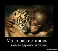 1260642711_588.jpg