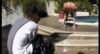 Animation.gif
