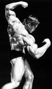 ArnoldSchwarznegger-MD-Dec2012-JimmyCaruso-595JJJ-B.jpg