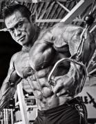HidetadaYamagishi-MD-Dec2012-PerBernal-618.jpg