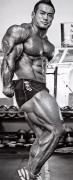 HidetadaYamagishi-MD-Dec2012-PerBernal-620.jpg