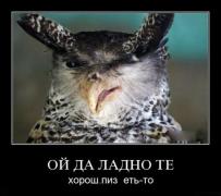 пиздеть.jpg