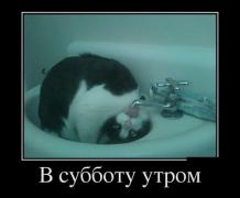 51t1b6_5ULE.jpg