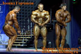 лес1.jpg