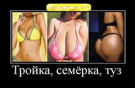 getImage (8).jpg